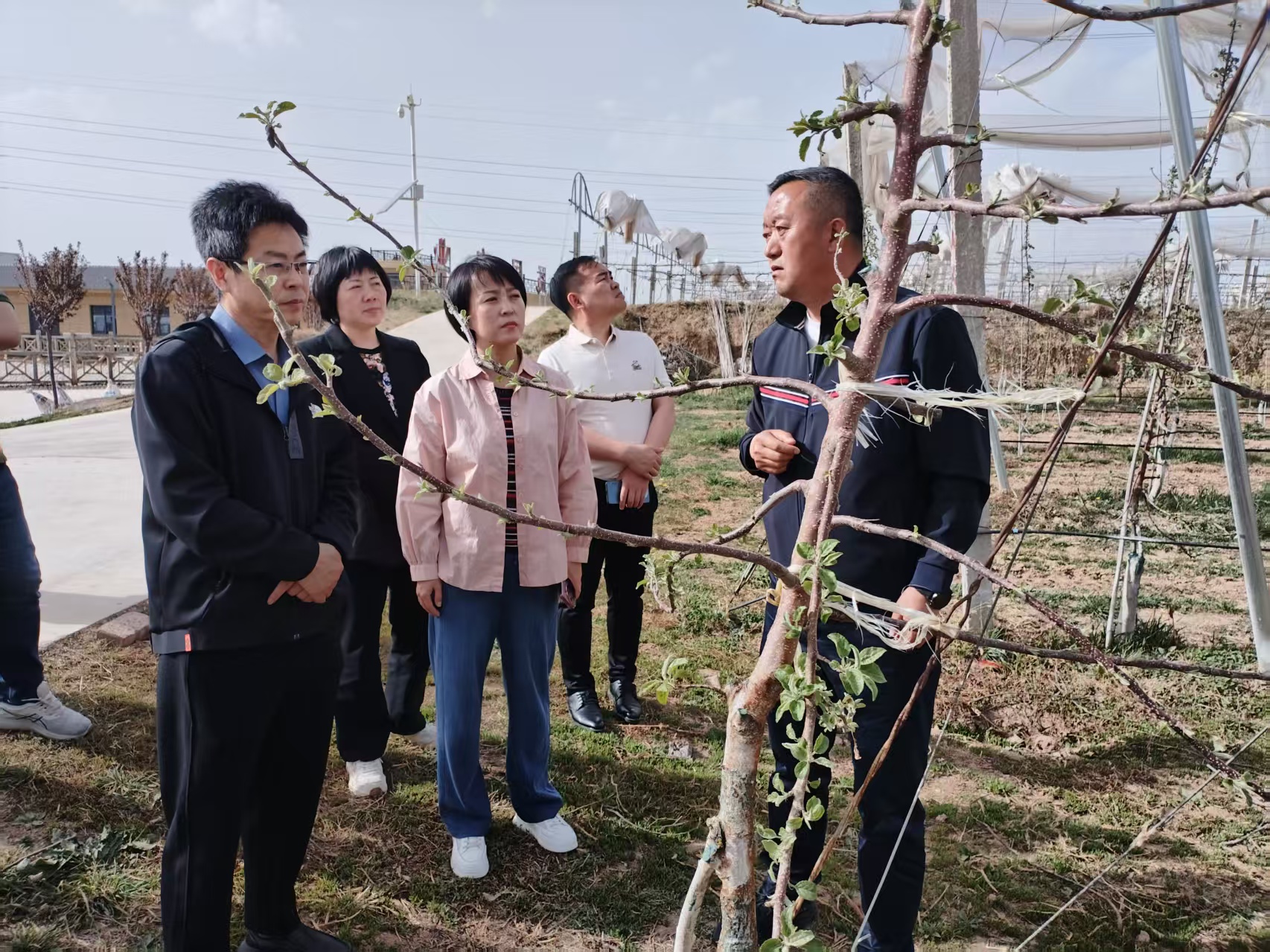 2025年4月16日銅川市供銷合作社王婧副主任與”鮮豐匯“、華東農產品交易中